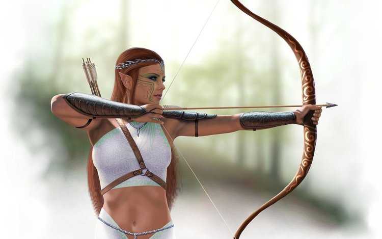 Амазонка японка46