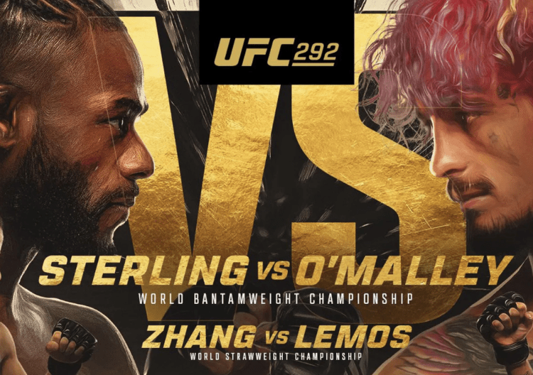 Армянка чемпионка4