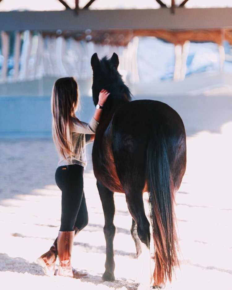 Брюнетка на лошади