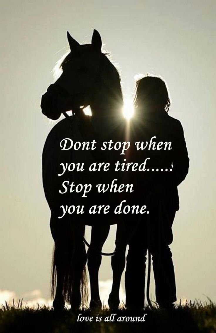 Девушка с конем силуэт