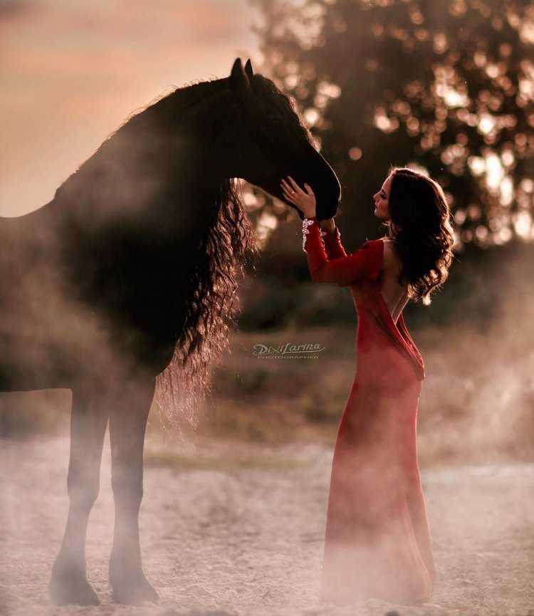 Брюнетка на лошади