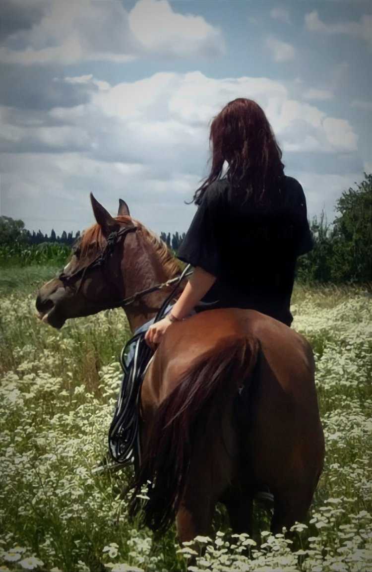 Девушка на коне со спины