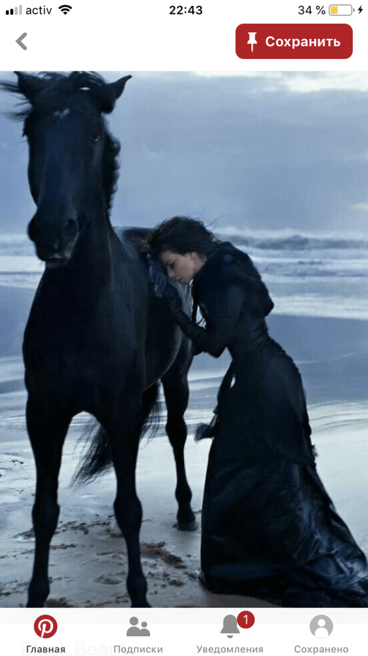 Девушка на черном коне