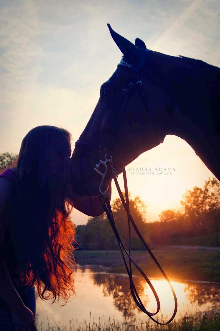 Брюнетка на лошади