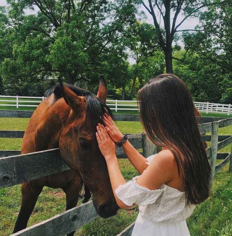 Брюнетка на лошади со спины