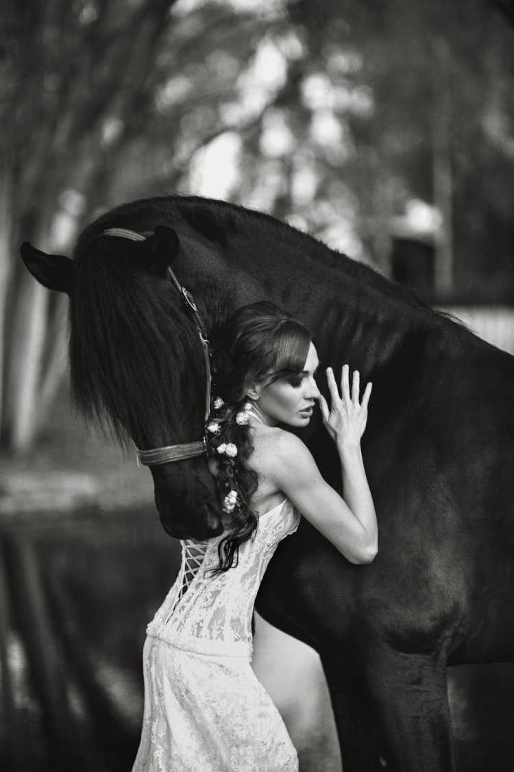 Красивые девушки и кони