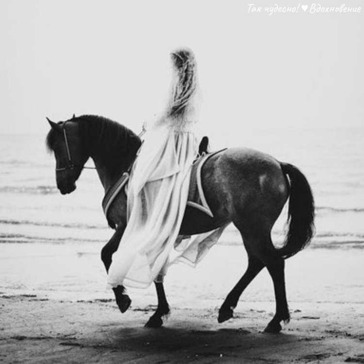 Девушка на лошади Эстетика