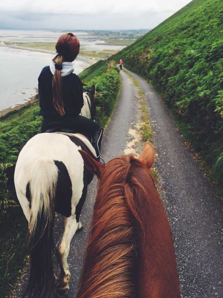 Лошадь и человек Эстетика