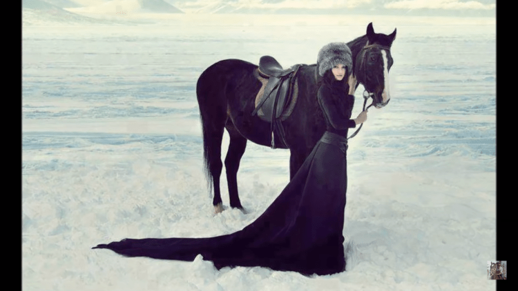 Арабские женщины на лошадях