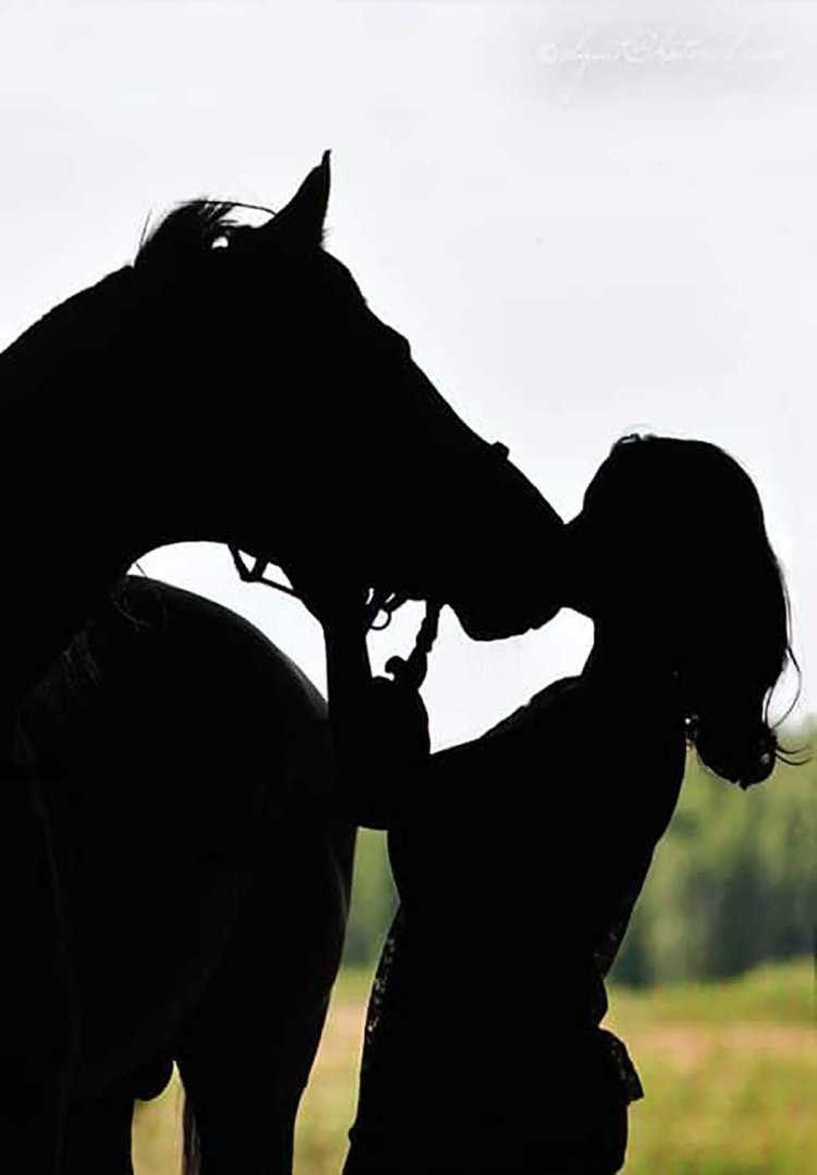 Девушка на лошади силуэт