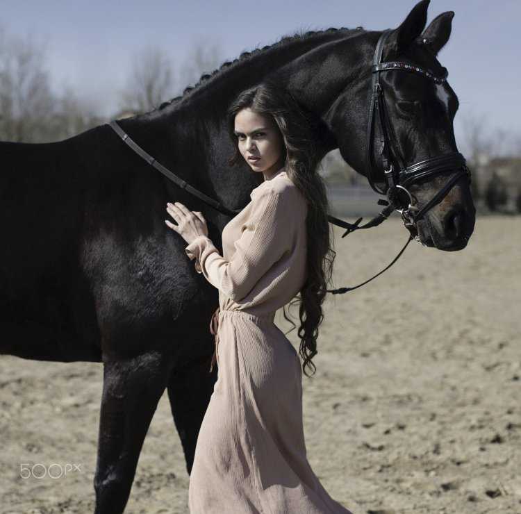 Восточная девушка на лошади