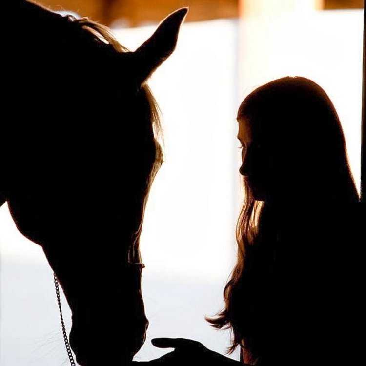 Девушка брюнетка на лошади