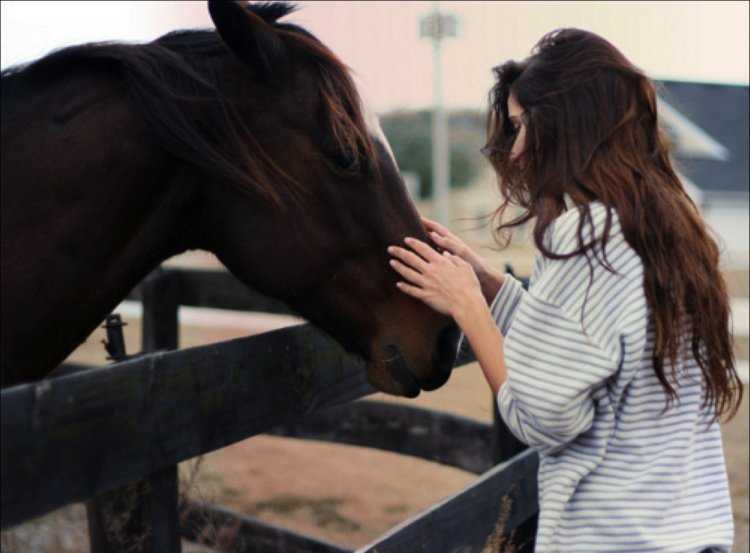 Брюнетка на лошади