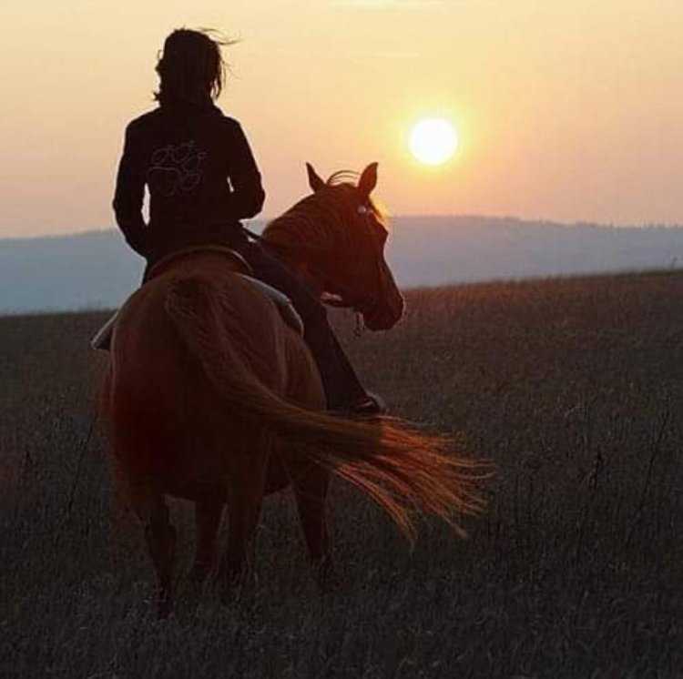 Брюнетка на лошади со спины13