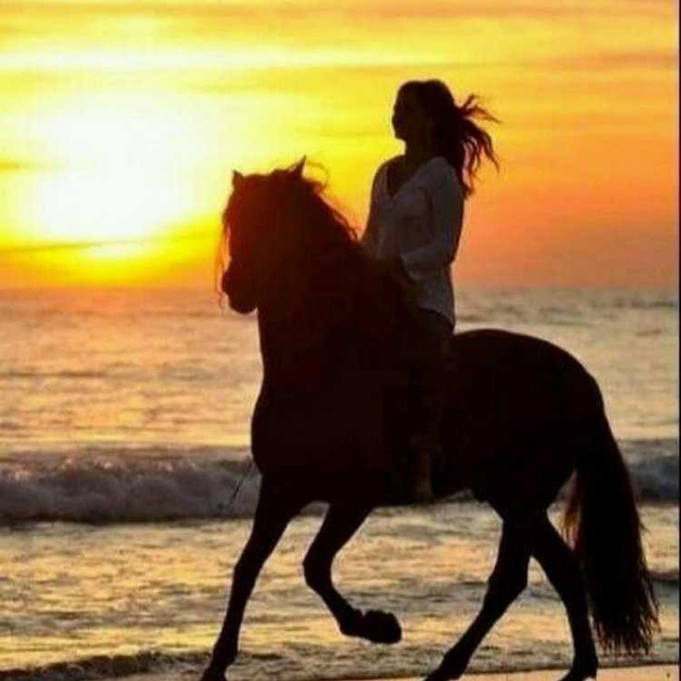 Девушка на лошади на закате