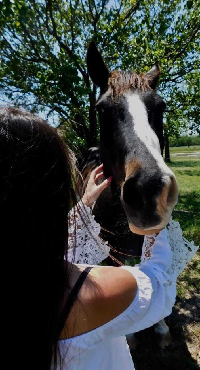 Брюнетка на лошади