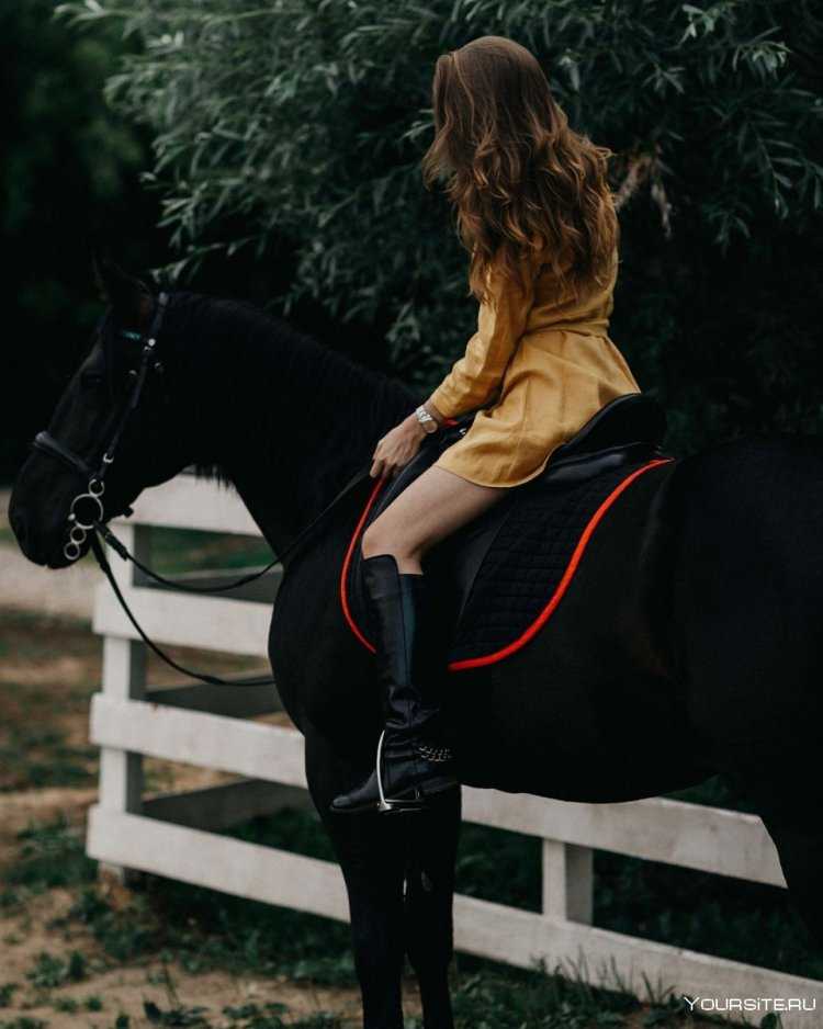 Девушка на коне