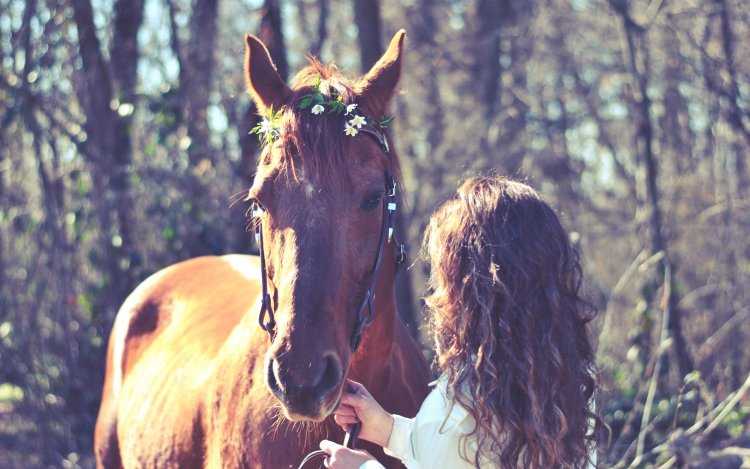 Фотосессия с лошадьми девушка со спины