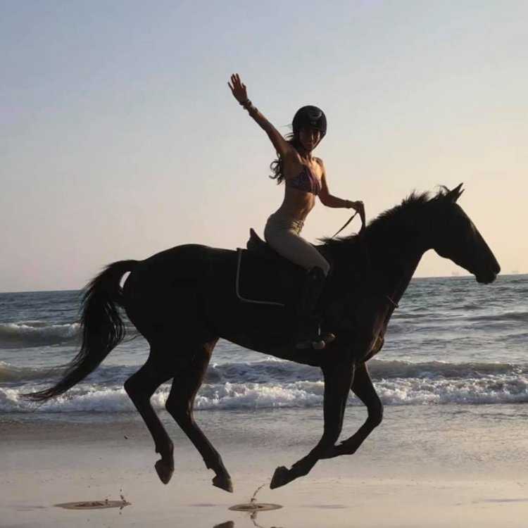 Девушка брюнетка на коне