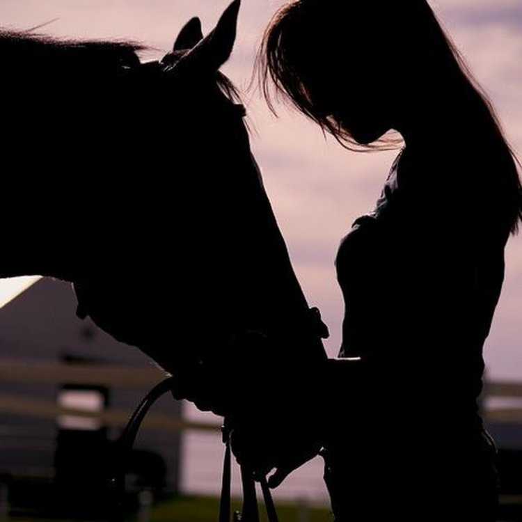 Брюнетка на лошади со спины5