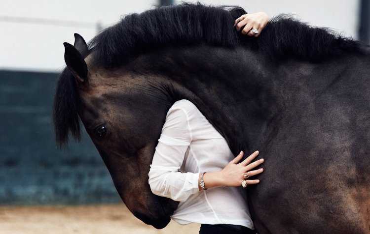 Женщина обнимает лошадь