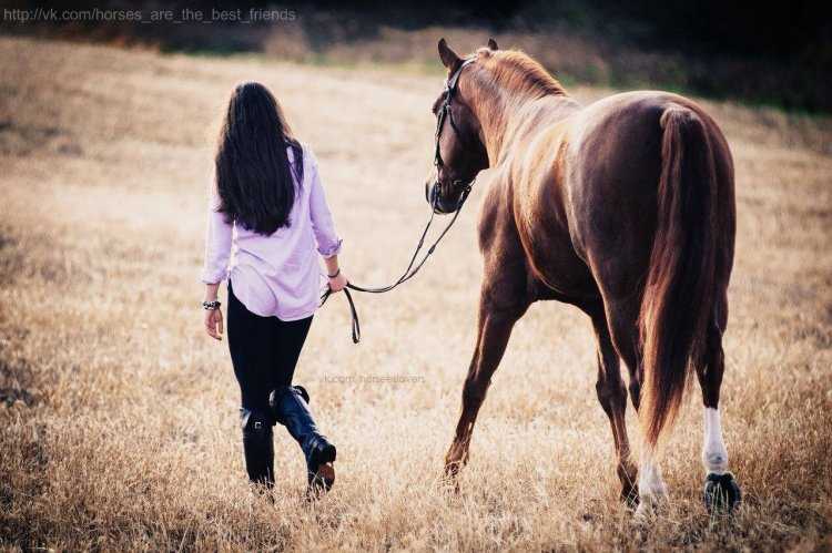 Брюнетка на лошади со спины16