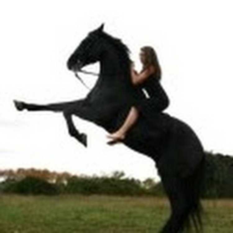 Девушка на коне с чёрными волосами