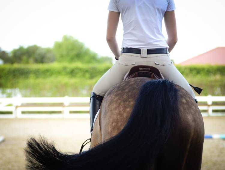 Женщина в седле