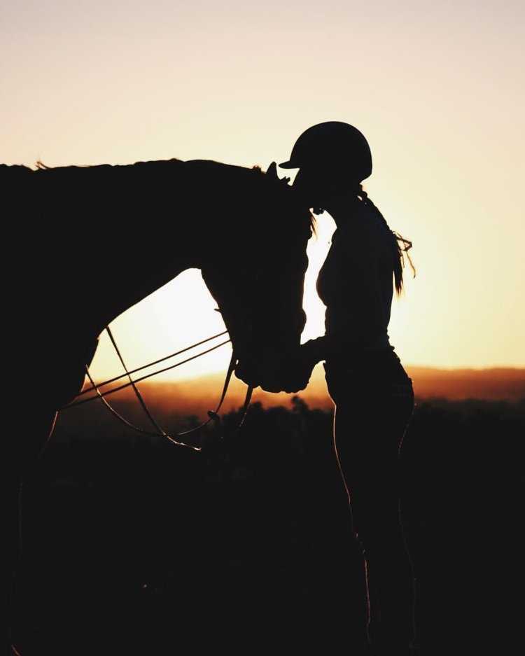 Силует девочки и лошади