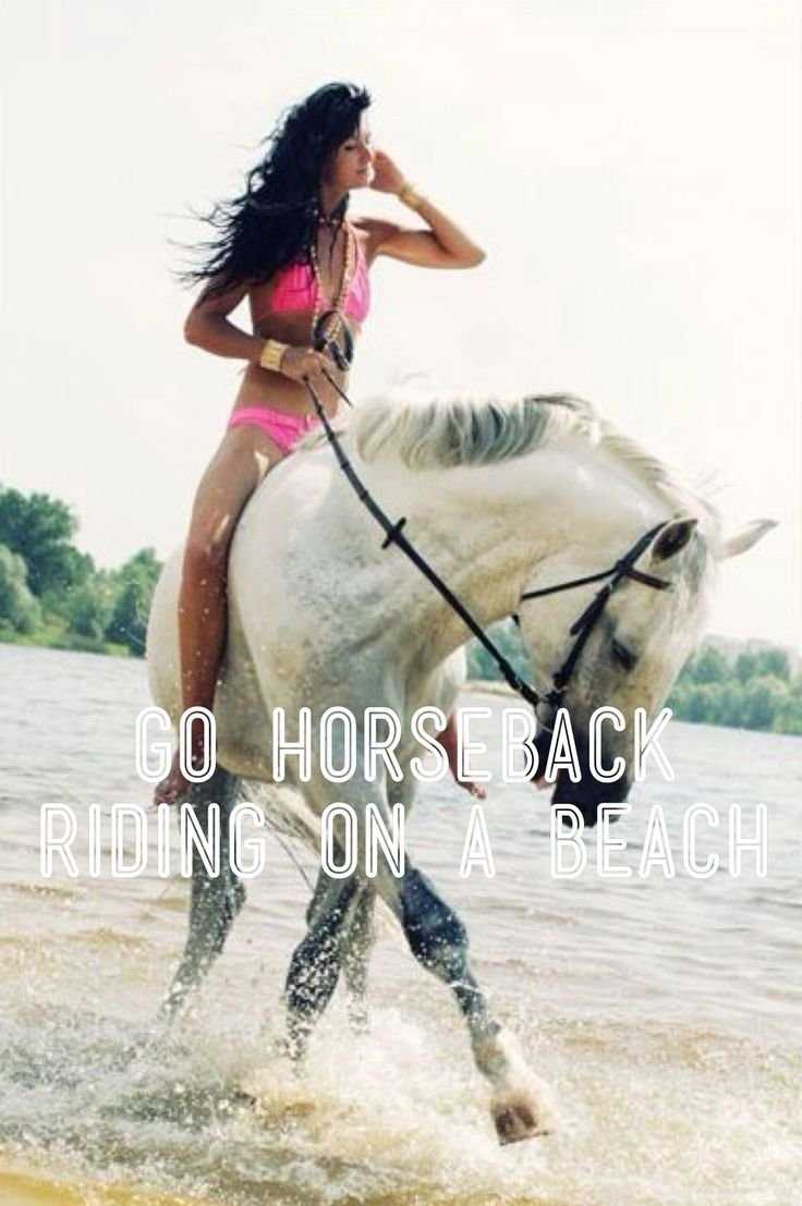 Брюнетка на лошади