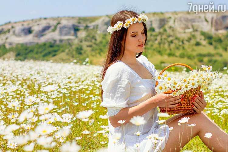 Ромашковое поле фон для фотосессии