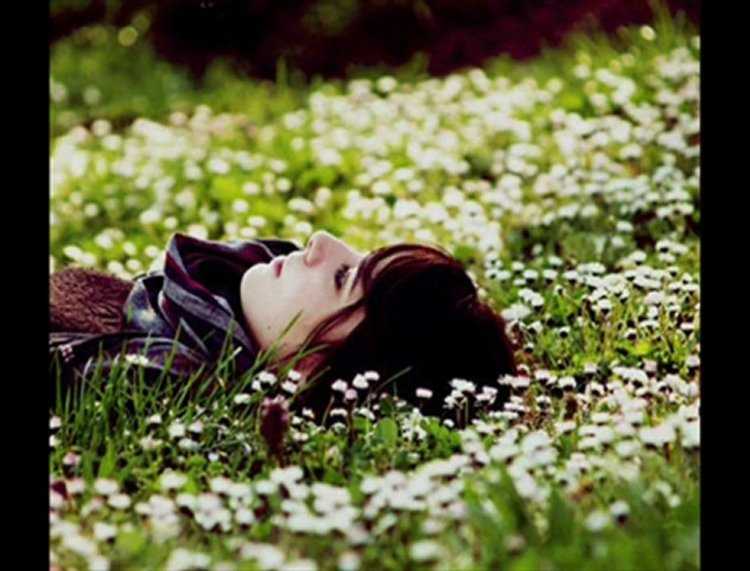 Брюнетка лежит в ромашках