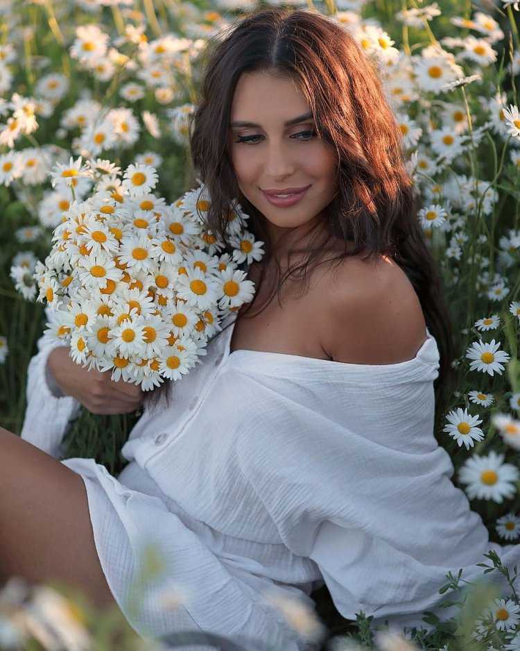 Белые ромашки