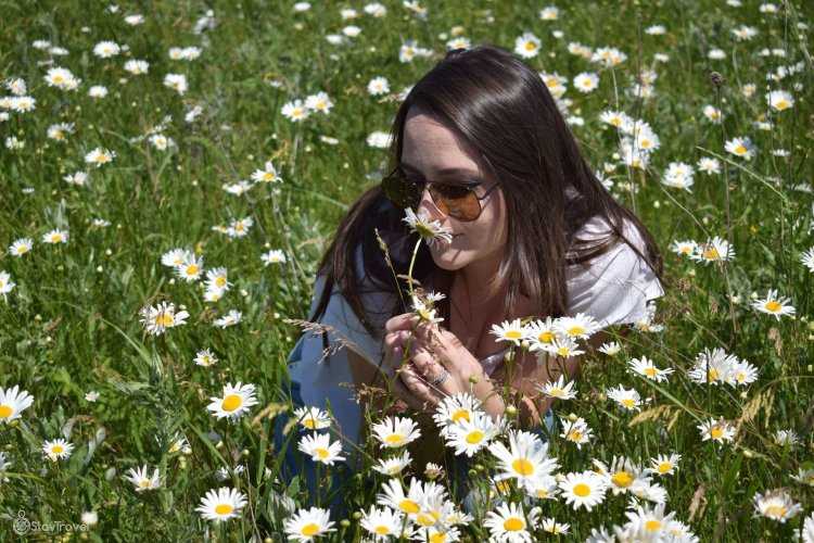 Девушка с ромашками на Поляне