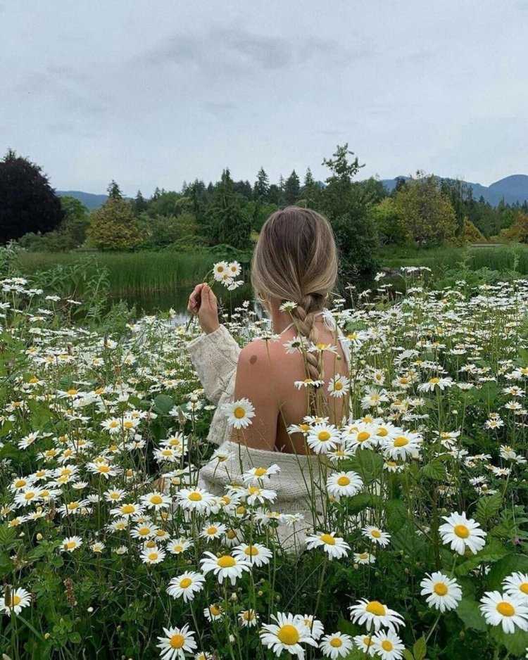 Лето ромашки любовь