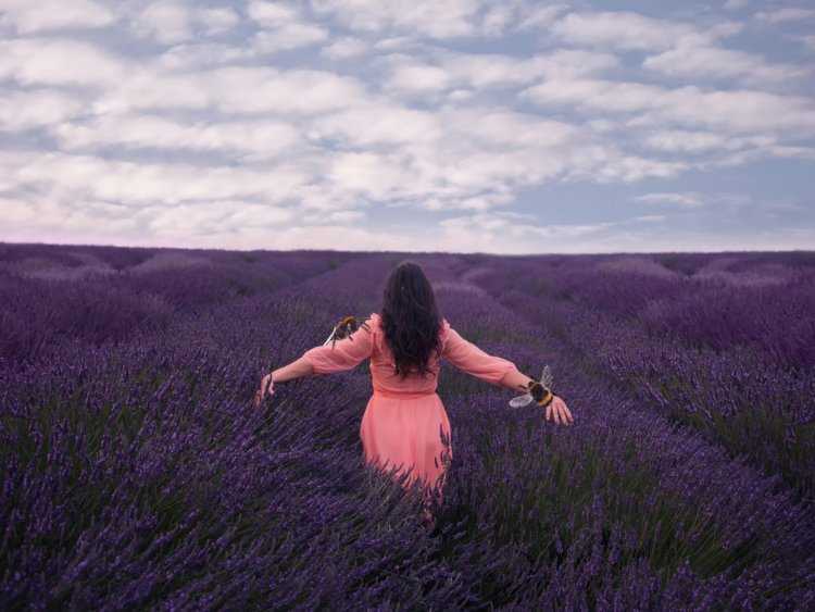Девушка в лавандовом поле