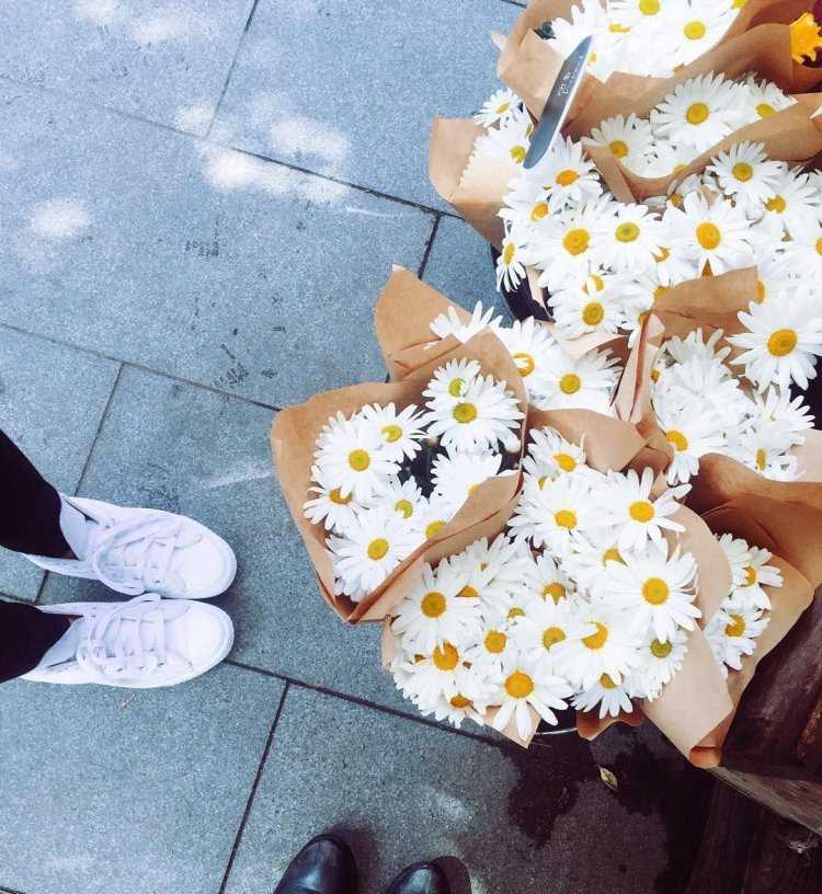 Bunch of Daisies
