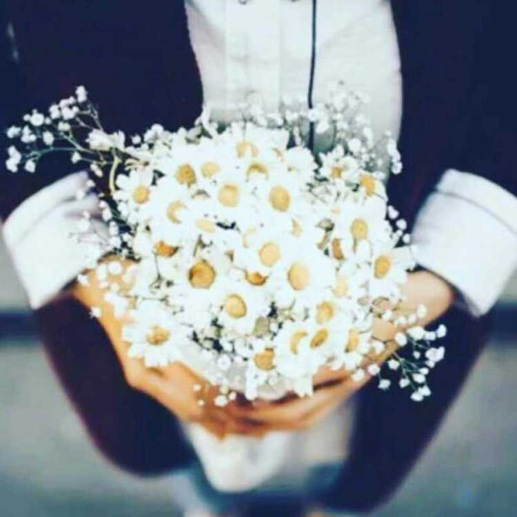 Девушка с большим букетом ромашек