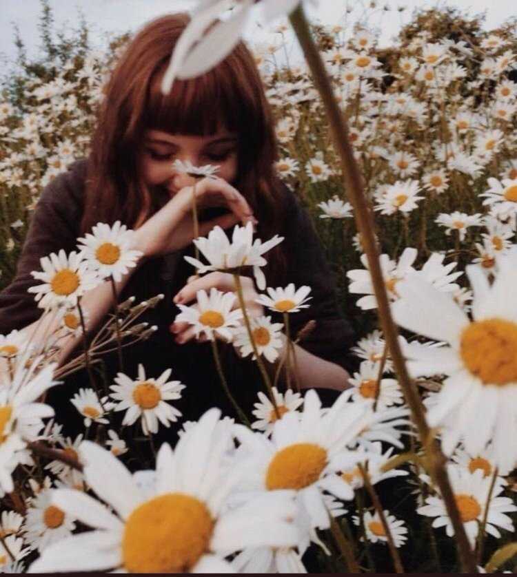 Эстетические брюнетки с ромашками