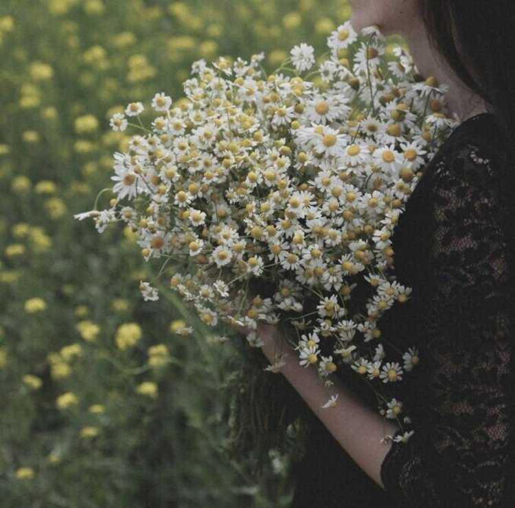 Девушка с букетом ромашек