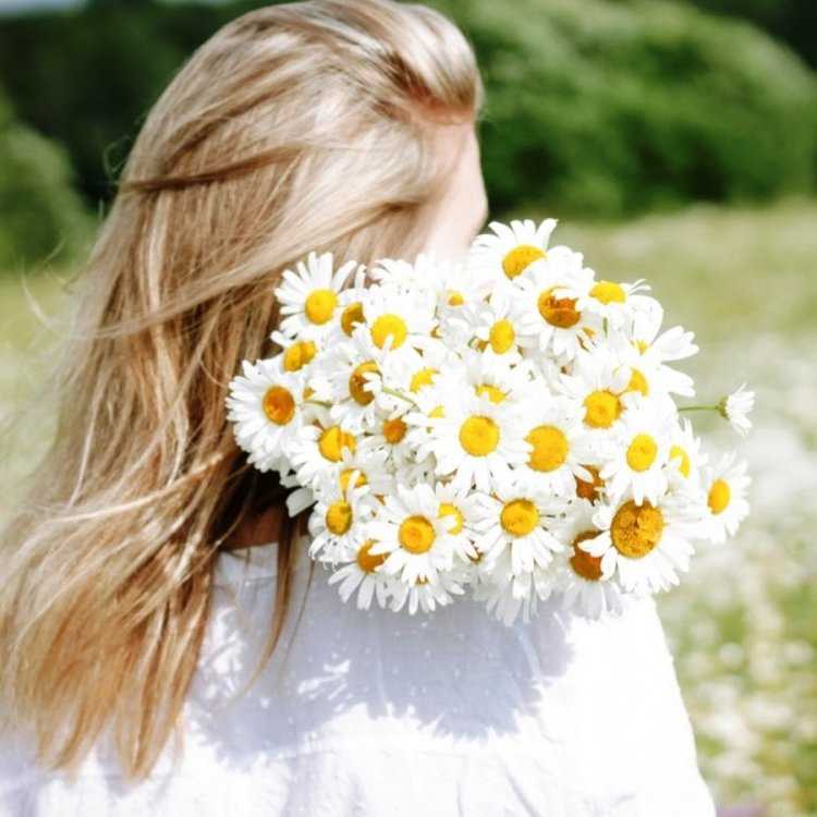 Блондинка с букетом ромашек