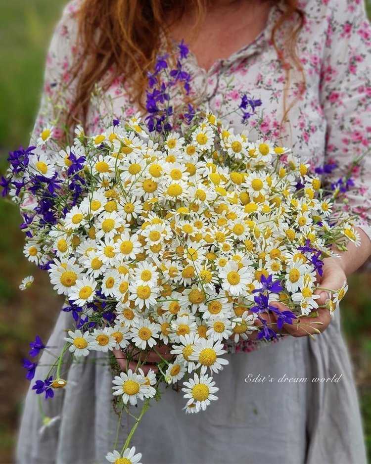 Брюнетка с букетом ромашек33