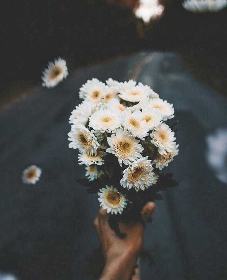 Эстетичный букет ромашек