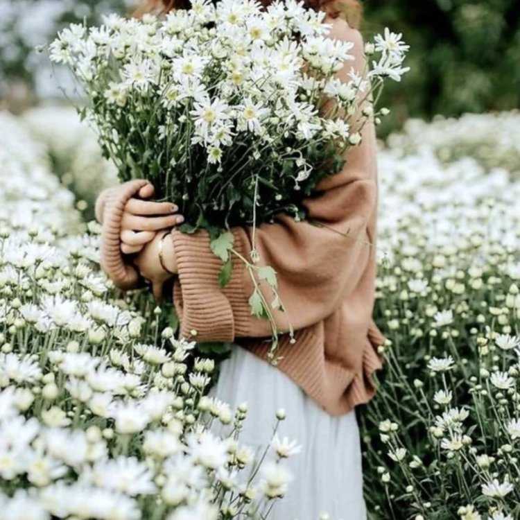Фотосессия с букетом ромашек