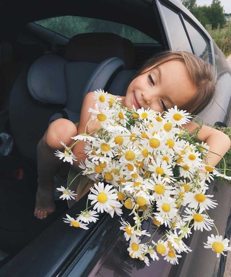 Ромашки в машине