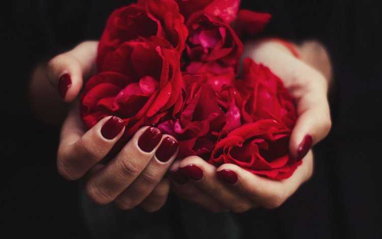 Брюнетка с розами в руках55