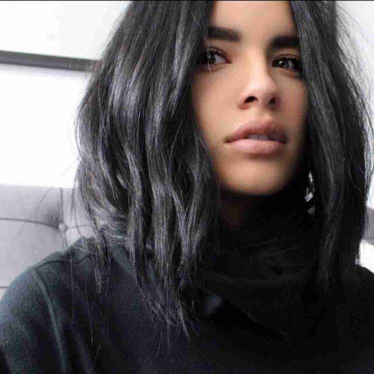 Пепельночерныц цвет волос