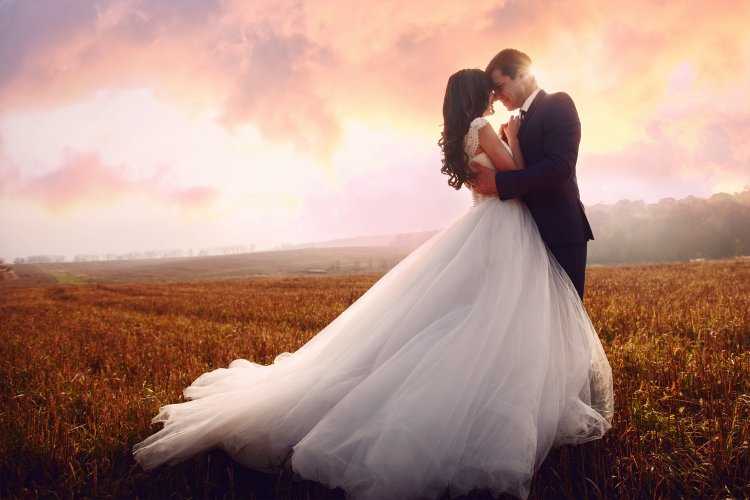 Свадьба жених и невеста со спины