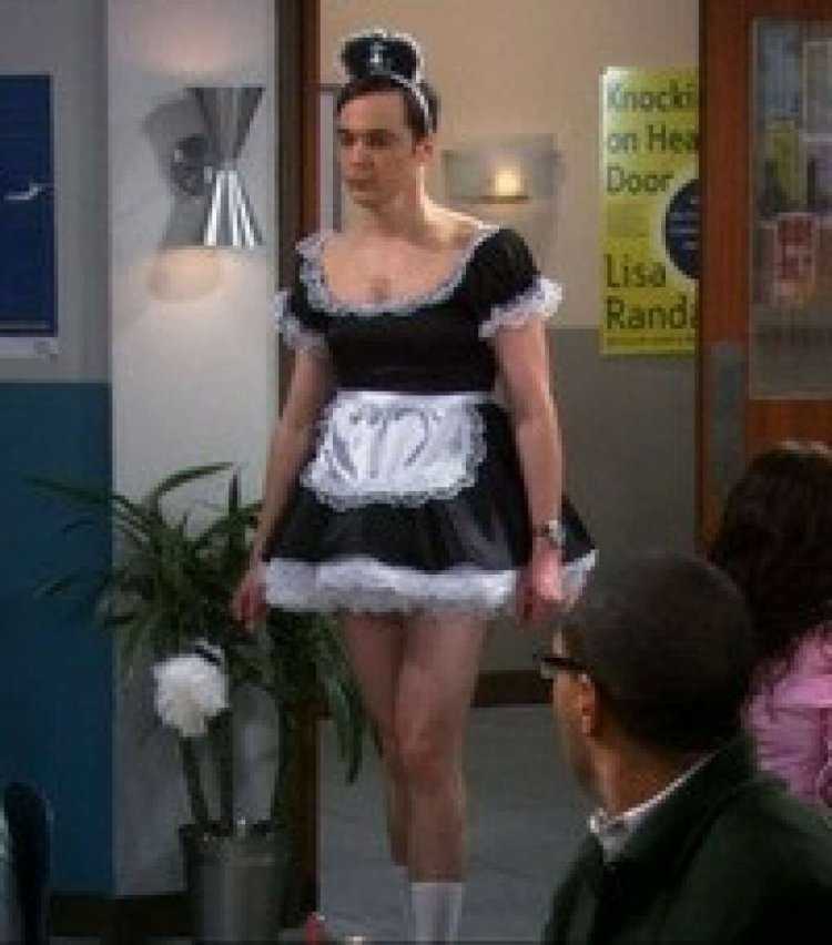 Шелдон Купер горничная