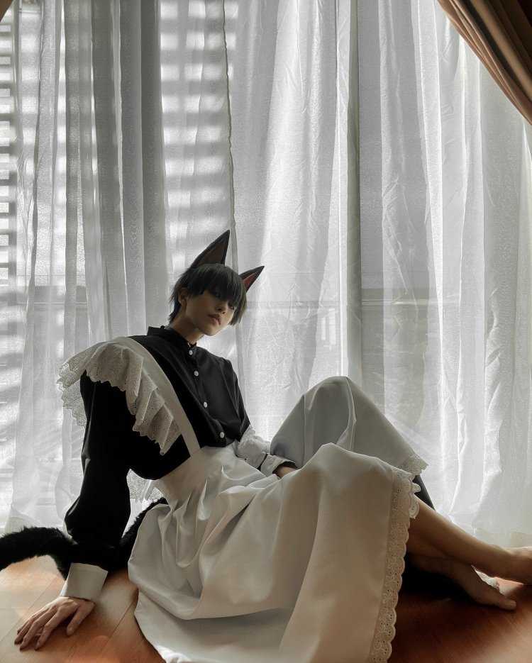 Кот горничная